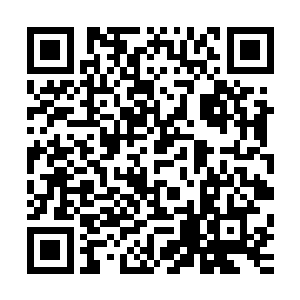 故意发出咔嚓咔嚓的声音……刚开始还能凭一时之勇说不怕死二维码生成