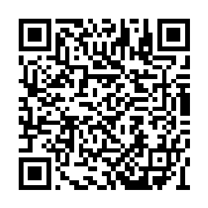 故才早早教我等暗中与各地粮食大户商谈好价格二维码生成