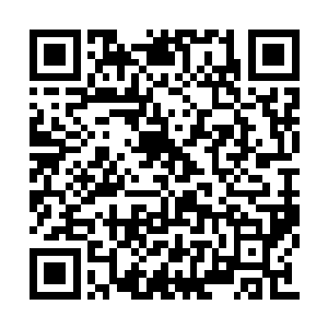 故此先认出蚂蚁魔兽王的尸体引开她们的注意力二维码生成