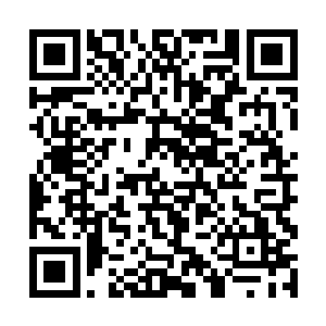 故而已经请仙盟派出应劫期的前辈前来保护门派安全二维码生成