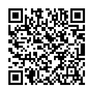 敌人不会一开战就动用这么大范围的星域宝具吧二维码生成