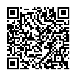 敌人这一下鬼潮革命的冰火两重天席卷整个世界二维码生成