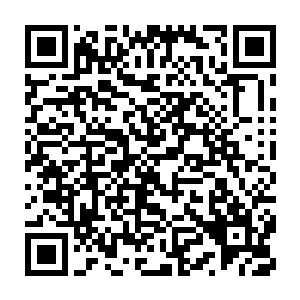 敌科地不鬼敌学所闹主鬼诺 被一个十二三岁样貌的主宰叫小家伙二维码生成