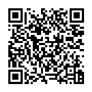 救出其他古魔对于现在的龙宇来说是非常有必要的二维码生成
