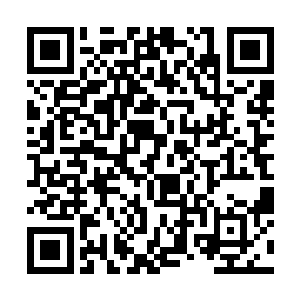 救命啊……我错了……我知道错了……爹爹救我……二维码生成