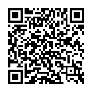 救赎之果和光辉之果的作用是直接吃下去就吸收二维码生成