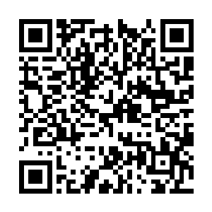 敖厉等三位宫主还有跟随的门人子弟也都单膝跪地二维码生成