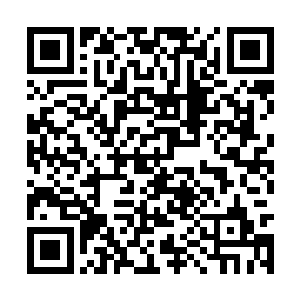 敖厉见师尊竟然一眼便把他的情况道了个一清二楚二维码生成
