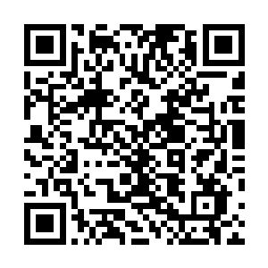 敖文蕾直接指挥着手下的蛟龙侍女拿着阵盘去布置了一番二维码生成