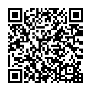 教主他们都已经被眼前这位突然冒出来的恐怖家伙给杀了二维码生成