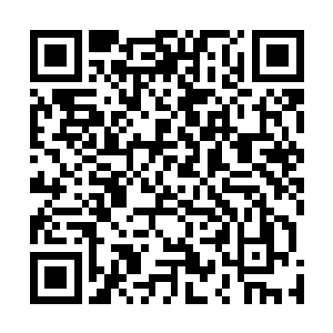 教主级的人物根本不屑出手对付像孙悟空这样级别的牛人二维码生成