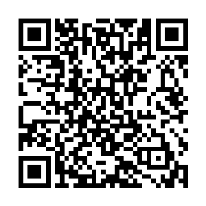 教宗大人说照看自己是因为要延续他们这一门的传承二维码生成