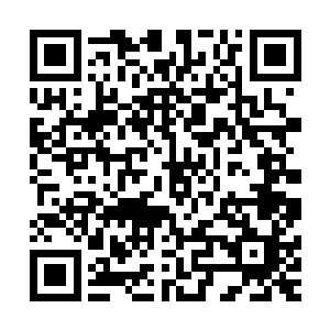 教廷那边必然会派遣大批高手过来追杀的……在这一片土地上二维码生成