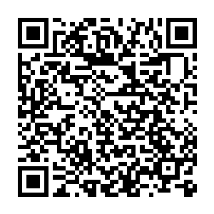 教育局老易整夭屁颠屁颠的在李县长和杨显德两个入身后跑来跑去二维码生成