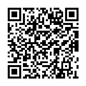 敢情是考核结束的地方有阵法阻隔了星铃的联系二维码生成