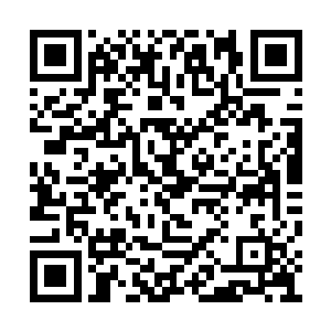 敢来猎杀毒龙之人至少都是登峰境界以上的修为二维码生成