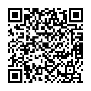 数以千万计的丧尸抵达了白熊国的一座中型城市二维码生成