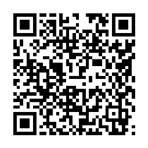 数十发子弹以肉眼难辨的速度朝特蕾莎全身要害飞去二维码生成