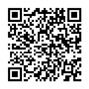 数十条无形风龙牵引着几团蓝幽色火焰朝白玉狮子狠狠砸去二维码生成