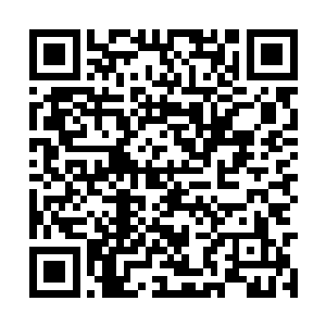 数十道让人如坠幽冥的恐怖气息齐齐注入它的体内二维码生成