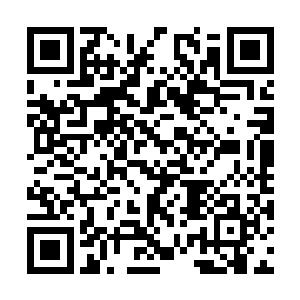 数千根风元水晶一下子就出现在了捧山真人的面前二维码生成