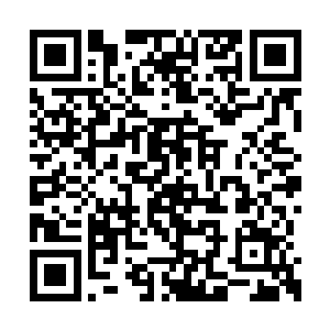 数千道洪荒幽魂都从一滩烂泥般的躯壳中逃出来二维码生成