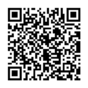 数字瞬间就从四十八小时变成了四十七小时五十九分五十九秒二维码生成