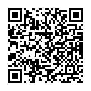 数百原本应该为那门户入口争夺的你死我活的开天境二维码生成