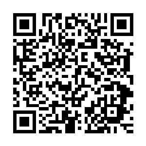 数百台巨神兵在己方星舰内部展开街头混混般死缠烂打的战斗二维码生成