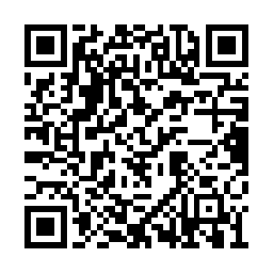 数道触手再一次疯狂的朝着杨戬的身上飞屋而来二维码生成