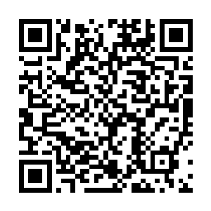 敲碎这里的所有棺材大约是花掉了我们两个小时的时间二维码生成