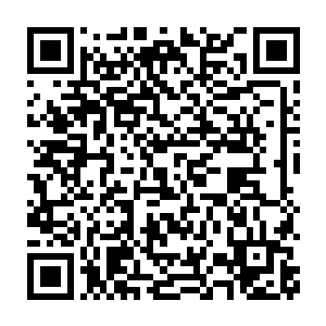 整个世界仿佛都被这无穷的震动之音和恐怖霸道的兽吼之音充斥着二维码生成