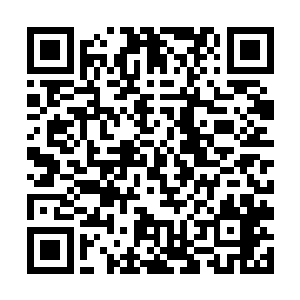 整个世界已经是没有多少能够给他造成威胁的存在了二维码生成