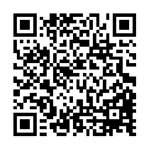 整个中州城都是学生还有观战的人员甚至于各大门派的代表二维码生成