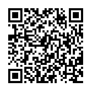 整个五星级大酒店开始全力为迎接这一场年会做准备二维码生成