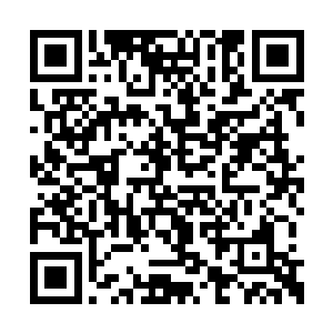 整个五星级酒店从一周前就不再接受新客人入住二维码生成