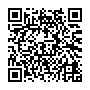整个京城所用的粮食都是通过京杭大运河漕运来的二维码生成