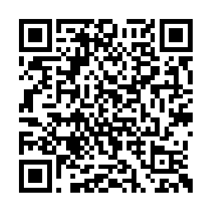 整个人也是瞪大了自己的眼睛看着那里的老妇人二维码生成