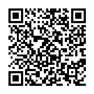 整个人从小到大的生活没有一点不受控制的地方二维码生成