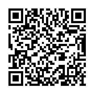 整个人如同一道流光在芥子空间内急速地掠动着二维码生成