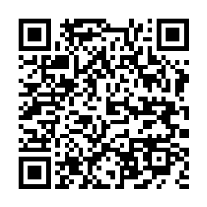 整个人就如同数道残影一般在林中的空地上闪现来回二维码生成