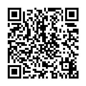 整个人就被那股难以抵御的力量按着头狠狠的撞到了地面上二维码生成