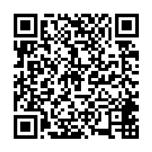 整个人看起来金灿灿的让人眼前一亮险些闪瞎了眼睛二维码生成
