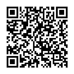 整个仙界的修士似乎都从浩劫降临开始之时的慌乱平静了下来二维码生成