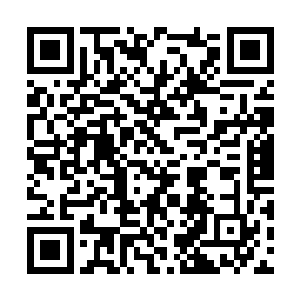 整个仙界的各种生灵都将目光望向了太虚宗的方向二维码生成