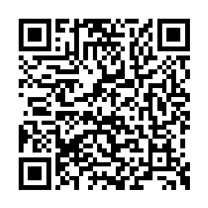 整个化仙者的领地如果不是偶尔能见的星辰废墟二维码生成