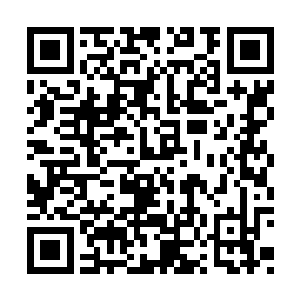 整个国家队里没有一个人有资格在他面前装老大二维码生成