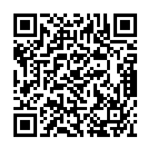 整个圣庭没了教皇就如同国家没有了领导人一般二维码生成