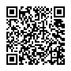 整个地下城的外围防御都是这种坚不可摧的稀有矿石二维码生成