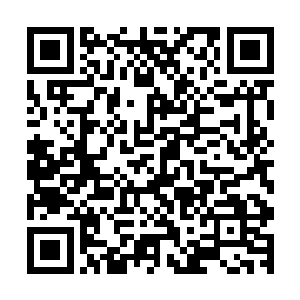 整个地方给我的感觉就是梦幻我从来没有来到如此梦幻的地方二维码生成